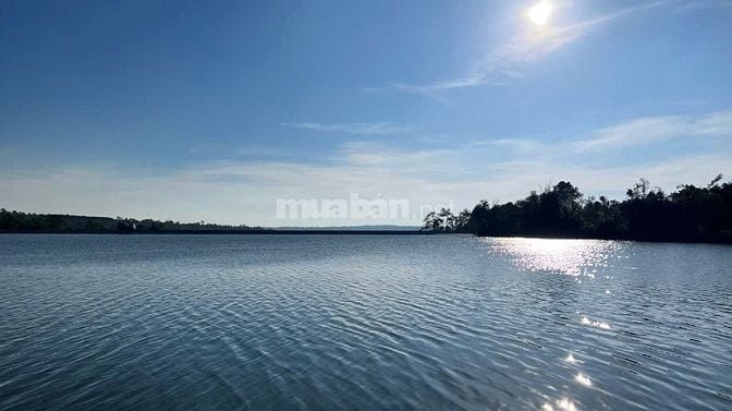 Bán đất vườn sầu riêng mặt hồ siêu đẹp
