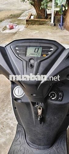 Xe tay ga FreeGo S 125 2021 Trắng