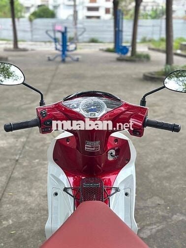 bán xe cọp