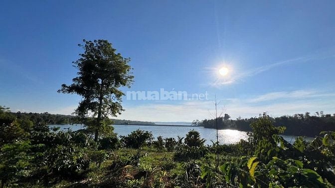 Bán đất vườn sầu riêng mặt hồ siêu đẹp