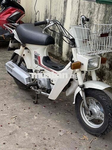 Bán xe chaily nhật đèn vuông