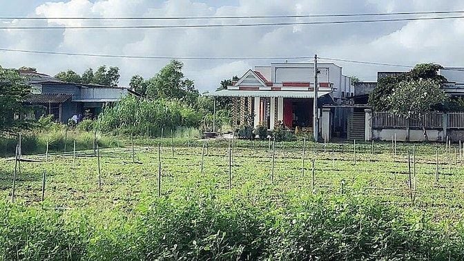 ĐẤT NỀN 406,2M2- GÒ CÔNG ĐÔNG ,TIỀN GIANG SHR HẺM XE HƠI SÁT MT