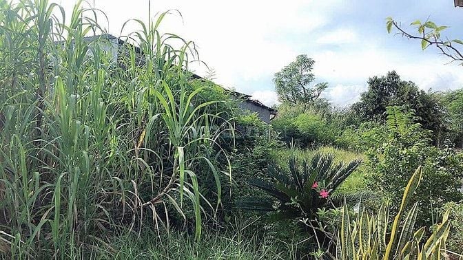 ĐẤT NỀN 406,2M2- GÒ CÔNG ĐÔNG ,TIỀN GIANG SHR HẺM XE HƠI SÁT MT