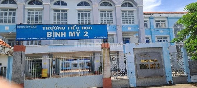 CẦN BÁN ĐẤT TRỒNG CÂY LÂU NĂM - VUÔNG VỨC - CÁCH TRƯỜNG BÌNH MỸ2- 200m