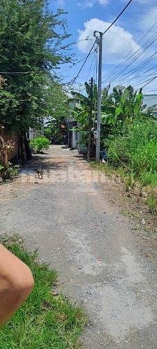 CẦN BÁN ĐẤT TRỒNG CÂY LÂU NĂM - VUÔNG VỨC - CÁCH TRƯỜNG BÌNH MỸ2- 200m