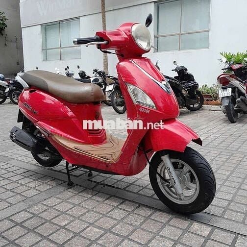 Xe alizabet fi giấy tờ đầy đủ