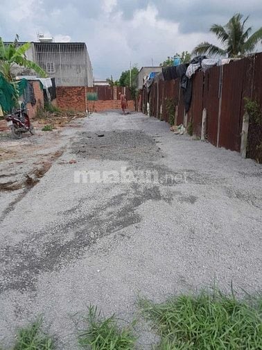 CẦN BÁN ĐẤT TRỒNG CÂY LÂU NĂM - VUÔNG VỨC - CÁCH TRƯỜNG BÌNH MỸ2- 200m