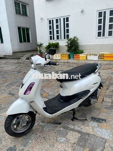 Xe alizabet giấy tờ đầy đủ