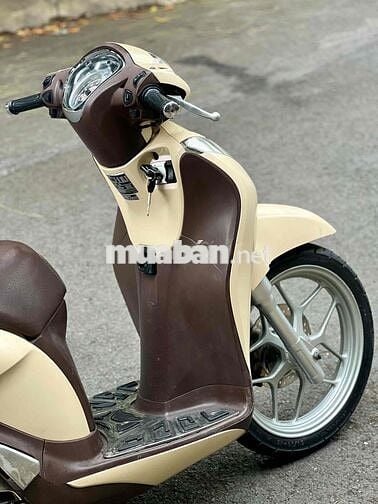 Sh Mode 1 chủ máy zjn cọp