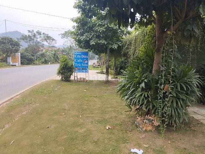 Đất thổ cư đã có sổ đỏ, mặt tiền quốc lộ 217 Huyện Bá Thước-Thanh Hóa