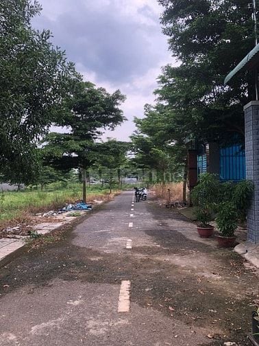 🌟 Chỉ 900 triệu – Đất thổ cư sổ riêng tại Ấp 10, xã Trảng Bom Mới!
