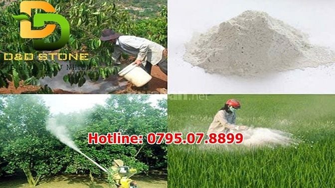 VÔI BỘT - VÔI CỤC: NGƯỜI BẠN ĐỒNG HÀNH CỦA NHÀ NÔNG & XÂY DỰNG 🏡💪