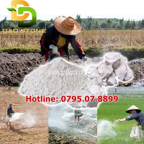 VÔI BỘT - VÔI CỤC: NGƯỜI BẠN ĐỒNG HÀNH CỦA NHÀ NÔNG & XÂY DỰNG 🏡💪