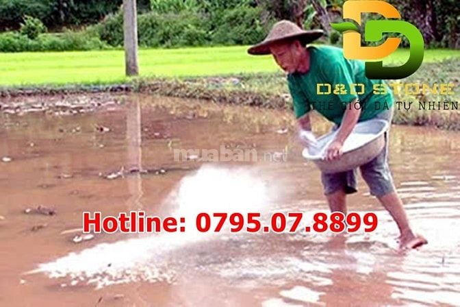 VÔI BỘT - VÔI CỤC: NGƯỜI BẠN ĐỒNG HÀNH CỦA NHÀ NÔNG & XÂY DỰNG 🏡💪