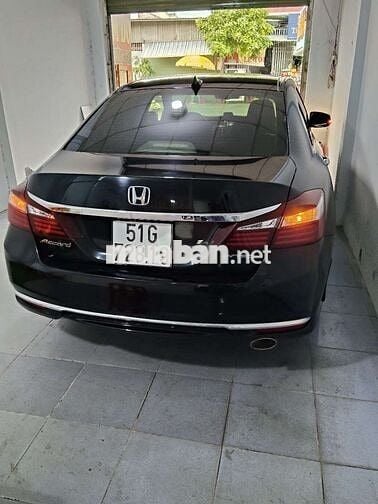 Honda accord cọp bán