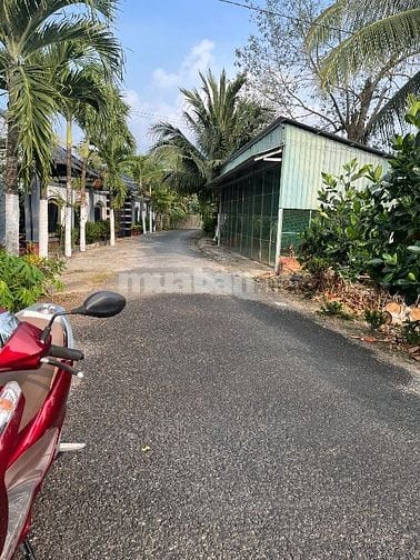 6Công GÓC 2MT ,ĐẤT SẦU RIÊNG MT ĐƯỜNG NHỰA 4tỷ8