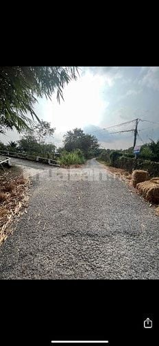 6Công GÓC 2MT ,ĐẤT SẦU RIÊNG MT ĐƯỜNG NHỰA 4tỷ8