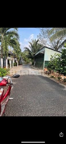 6Công GÓC 2MT ,ĐẤT SẦU RIÊNG MT ĐƯỜNG NHỰA 4tỷ8