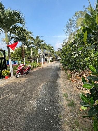 6Công GÓC 2MT ,ĐẤT SẦU RIÊNG MT ĐƯỜNG NHỰA 4tỷ8