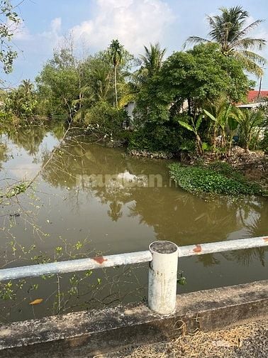 6Công GÓC 2MT ,ĐẤT SẦU RIÊNG MT ĐƯỜNG NHỰA 4tỷ8