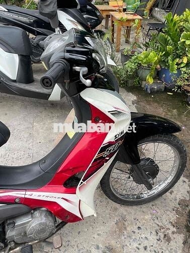 Elegant 50cc giấy tờ đầy đủ