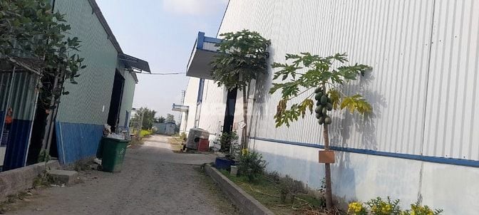 Cho thuê kho 3,5 usd -  QL 50 mới, Cần Giuộc, Long An