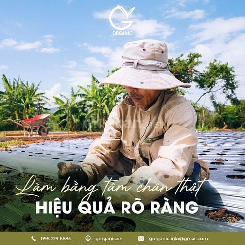 G.organic – thực phẩm hạnh phúc được gieo trồng từ tình yêu & sự thật