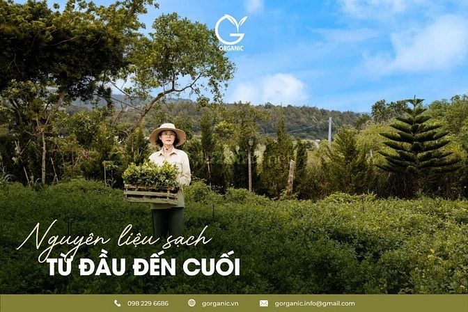 G.organic – thực phẩm hạnh phúc được gieo trồng từ tình yêu & sự thật