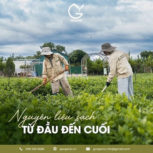 G.organic – thực phẩm hạnh phúc được gieo trồng từ tình yêu & sự thật