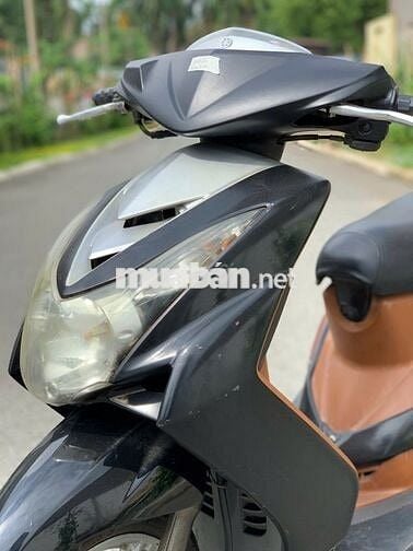 Mio bụng lớn đời 2009, Biển số 60.