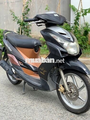 Mio bụng lớn đời 2009, Biển số 60.
