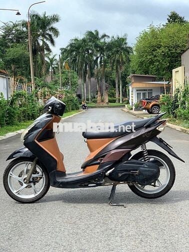 Mio bụng lớn đời 2009, Biển số 60.