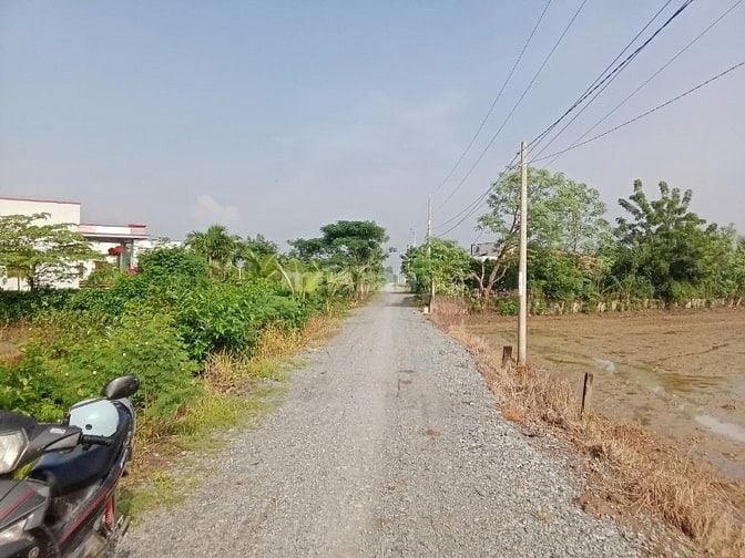 Bán đất thổ mặt tiền Cần Đước, Long An diện tích 1.167 m2 giá 6 tỷ VNĐ