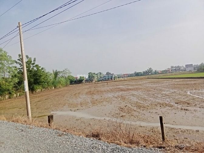 Bán đất thổ mặt tiền Cần Đước, Long An diện tích 1.167 m2 giá 6 tỷ VNĐ