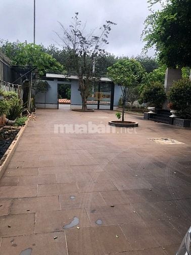 Bán biệt thự sân vườn kèm xưởng, 1.250m2 tại ĐT 741, Bù Nho, Phú Riềng