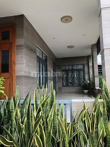 Bán biệt thự sân vườn kèm xưởng, 1.250m2 tại ĐT 741, Bù Nho, Phú Riềng
