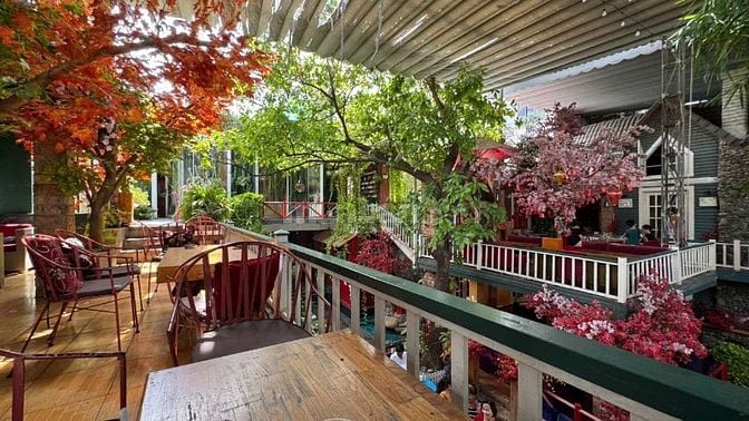Bán quán CAFE MTKD Nguyễn Ảnh Thủ ngang 24m 3 lầu sân vườn 624m2 48 tỷ