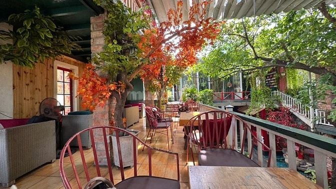 Bán quán CAFE MTKD Nguyễn Ảnh Thủ ngang 24m 3 lầu sân vườn 624m2 48 tỷ