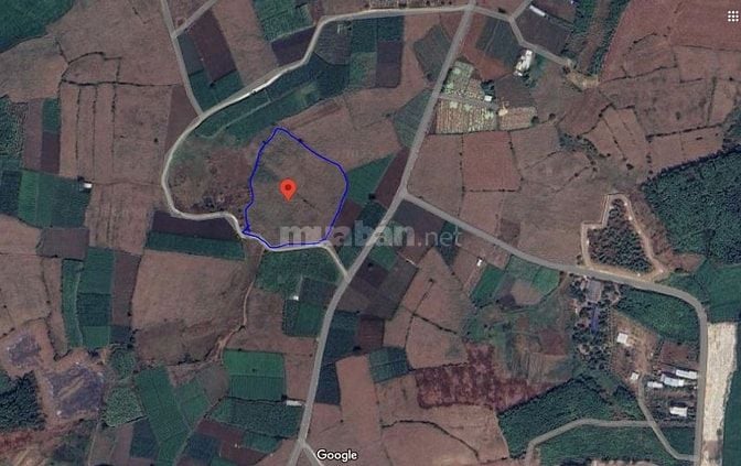Bán đất 7390 m2 CHÍNH CHỦ - LÁNG DÀI - BÀ RỊA VŨNG TÀU