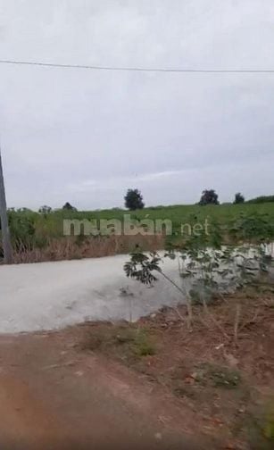Bán đất 7390 m2 CHÍNH CHỦ - LÁNG DÀI - BÀ RỊA VŨNG TÀU