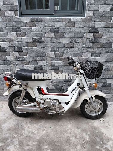 Chaly 50cc nhật
