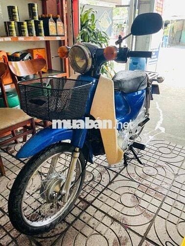 cub 50 cc đẹp giá rẻ học sinh