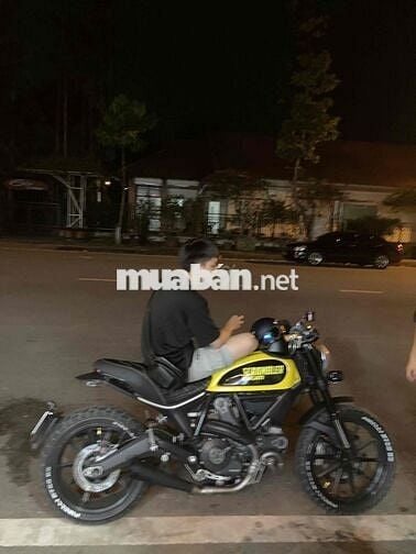 Ducati scrambler 800