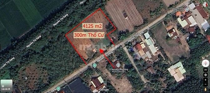 Mặt tiền đường Nguyễ Thị Dạng, Xã Nhuận Đức Thành Phố Hồ Chí Minh