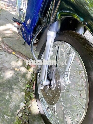 Wale anlpha biển đẹp