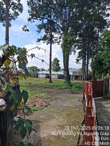 Cho thuê đất đường Võ Nguyên Giáp quận 9 giá 180 triệu 