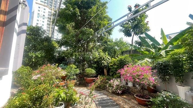 Chính chủ cho thuê Biệt thự rộng 500m Phú Mỹ Q7 giá 80triệu nhà đẹp