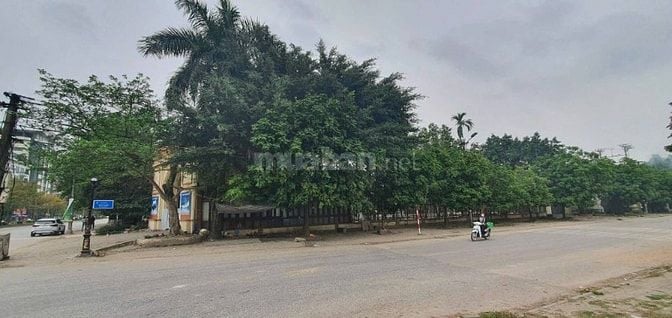 BÁN ĐẤT TMDV MẶT ĐƯỜNG NGUYỄN VĂN CỪ
