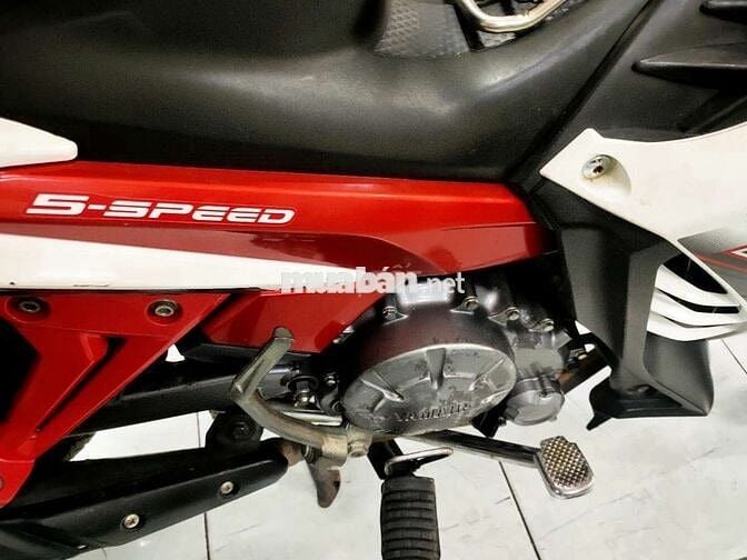 Xe Exciter 135