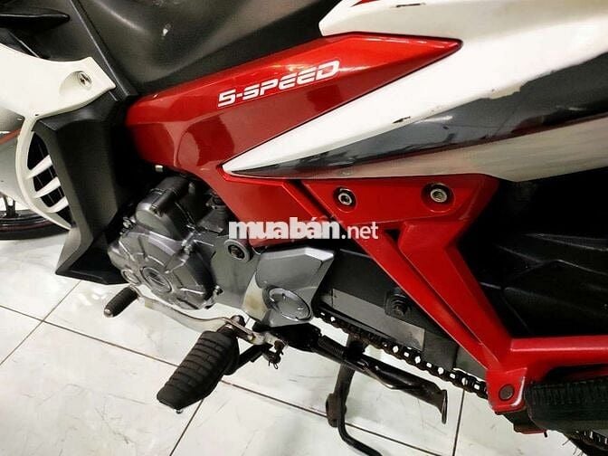 Xe Exciter 135